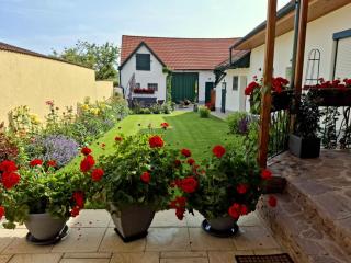 FERIENHAUS Weinviertel - 5
