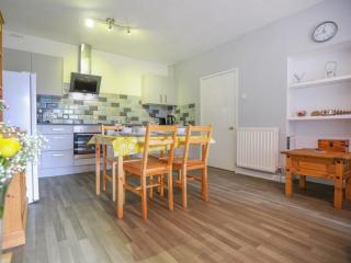 Ash - Uk38688 - Bideford - 4