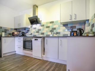 Ash - Uk38688 - Bideford - 5