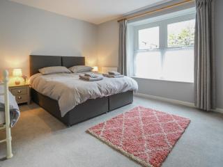 Ash - Uk38688 - Bideford - 4