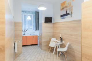 Smart Apartments біля Оперного Театру - Lviv - 9