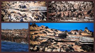 The Bay Lodge - Gansbaai - 1