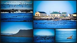 The Bay Lodge - Gansbaai - 2