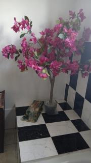Mandeville Chateau - 8