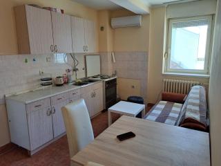 Ivana Apartman - Novi Sad - 0