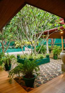 EverGreen Resort - Udawalawe - 9