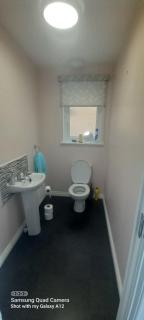 A Festival Delight 13 min 2 ctr - 4