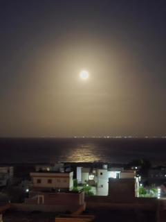 بيت العز للشقق الفندقية - علم الروم Bet Elezz Apartments-Alam Elrom - 4