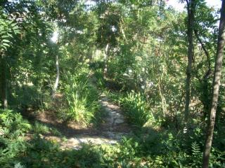 Family Villa with Pool & Huge Garden - Arrábida Trails & Beaches Nearby - Setúbal - 1