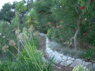 Family Villa with Pool & Huge Garden - Arrábida Trails & Beaches Nearby - Setúbal - 2