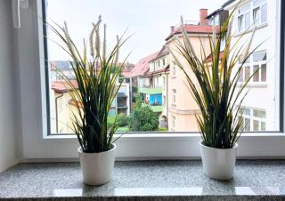 Top-Lage ideal für Teams & Familien mit 6 Personen - Neu-Ulm - 3