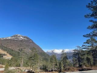 Moderne og romslig familiehytte i Stryn - 7