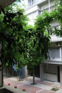 Victoria Square spacious & feel good Apartment - Atenas - 9