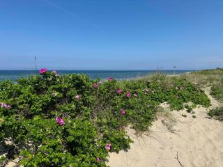 Experience Real Summer Idyll At Drageholmen 3 - 8