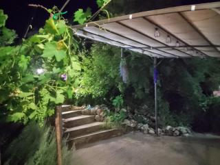 La Casetta Nel Bosco Delle Nereidi - 1