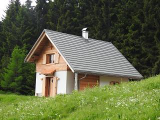 Arnika Hütte - un'immersione nelle montagne della foresta millenaria - Ugovizza - 0