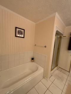The Mirror Lake Suite - Fayetteville - 9