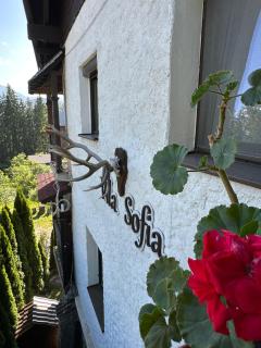 Vila Sofia - 0