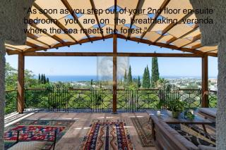 A historic STONE VILLA with private garden, terrace and private pool just for you - Klirou - 3