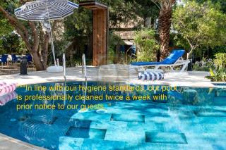 A historic STONE VILLA with private garden, terrace and private pool just for you - Klirou - 5