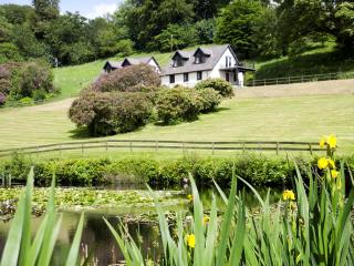 Lake View Cottage - Cv7102 - Saint Cleer - 1