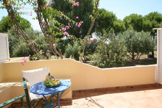 Villa Carina - Kounopetra - 2