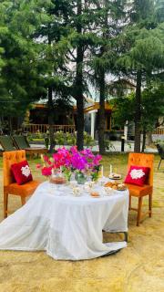 Secret Garden Kalam - 6