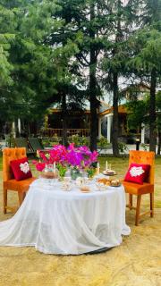 Secret Garden Kalam - Kalām - 7
