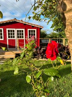 Peaceful Countryside Getaway - Parbayse - 9
