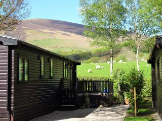 Bewick Lodge - Keswick - 3