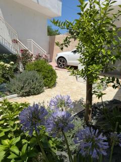 Mediterranean Villa Old Town - Valona - 4