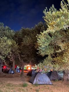 Camping Qeparo - 6