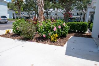 Home sweet townhome at Windsor Hills - 9