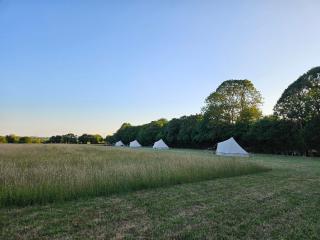 Readers Field Glamping - Great Sampford - 3