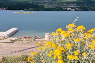 Holiday house with a swimming pool Pridraga - Cuskijas, Novigrad - 24776 - Pridraga - 7