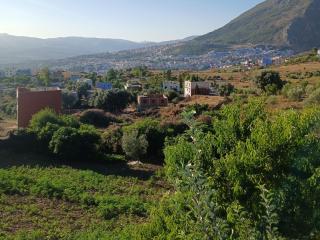 Casa laila - Chefchaouen - 2