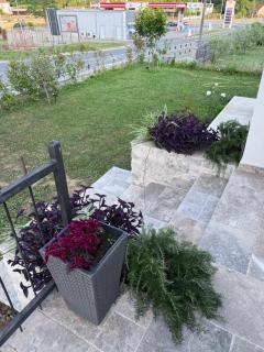 Casa Hollaj - - 8