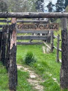 Górska chata na Kaszubach - balia na wyłączność, sauna, klimatyczne miejsce - Gołubie - 4