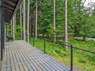 River Dance Cabin - Packwood - 3