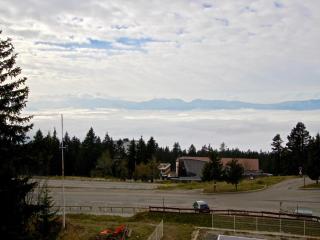 Studio au centre de Chamrousse avec balcon - FR-1-549-152 - 5