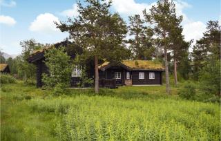 Gorgeous Home In Rauland With Sauna - Rauland - 0
