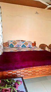 Lily Homestay - New Hampi - 5