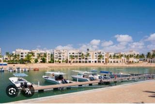 Hawana salalah Forest island L3-G01 - 3
