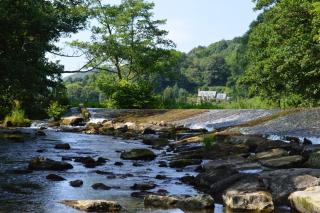 Riverside Inn, Aymestrey - Aymestrey - 6