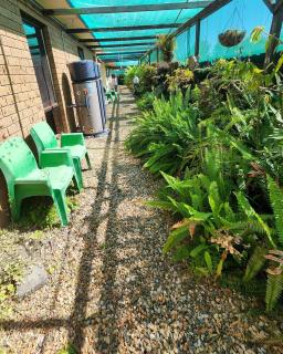 Cosy Nook - Flat 5 - Cabbage Tree Creek - 9