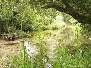 Duck Cottage - Winterbourne Dauntsey - 9