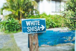 宮古島 White Shisa ホワイトシーサー - Miyako-jima - 9