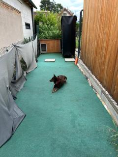 ekodům v romantické zahradě - 6