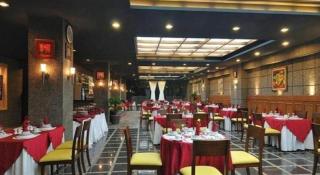 Sapadia Hotel Parapat - Parapat - 8