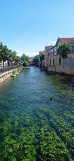 L'ISLE D'OR - LES AMANDIERS - 3 étoiles - 1er étage - LʼIsle-sur-la-Sorgue - 5